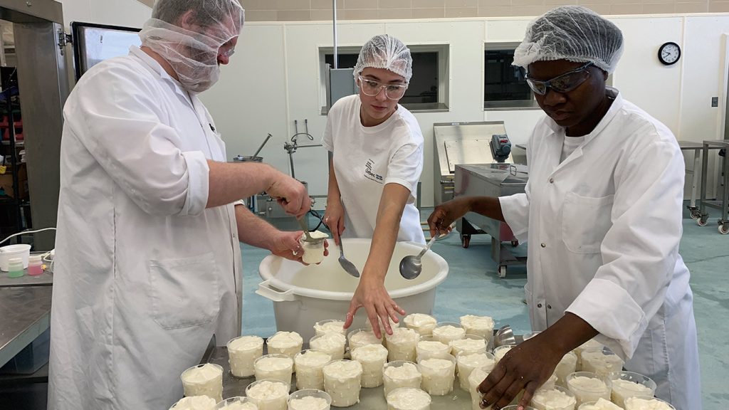 les fromages de lait cru au québec