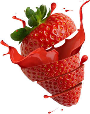 technia service fraise 5