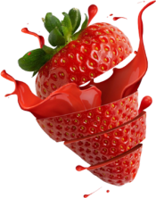 technia service fraise 5